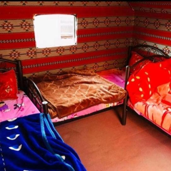 Bedouin Family Camp 호텔 와디럼 외부 사진