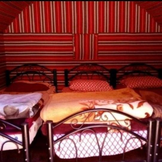 Bedouin Family Camp 호텔 와디럼 외부 사진