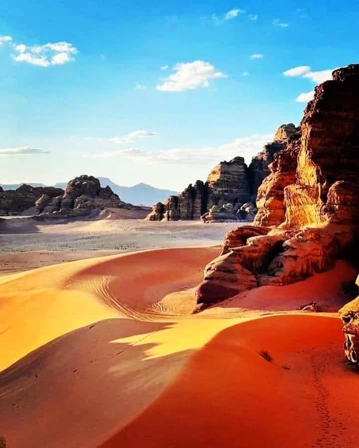 Bedouin Family Camp 호텔 와디럼 외부 사진