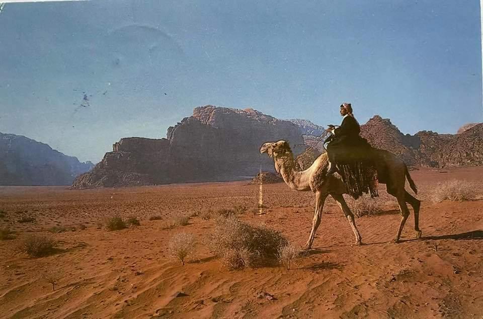 Bedouin Family Camp 호텔 와디럼 외부 사진